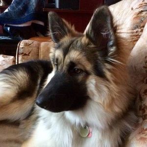 Meet your Posher, Annette